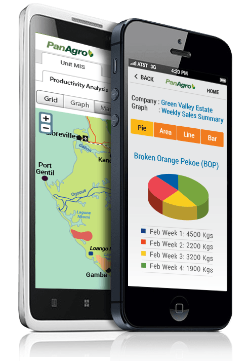 plantation erp data access
