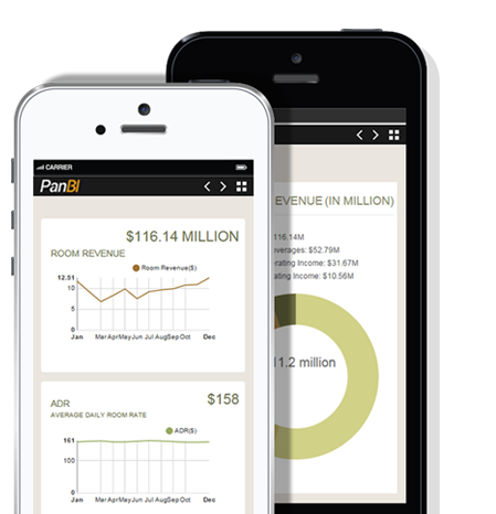 business intelligence app